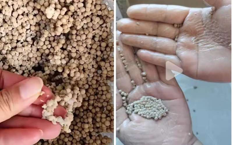  网购胡椒粉乱象频现；标称纯正却藏猫腻；消费者如何擦亮眼睛。 健康养生