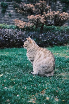  教育减负步伐加快；吉林等多地明确，2027年起生物地理退出中考计分。 教育招生