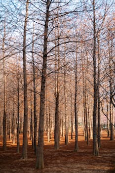 徐士林长联警世；实绩铸就口碑；担当书写华章。