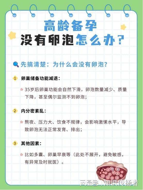 高龄备孕群体：科学应对卵巢储备不足的系统化进阶方案