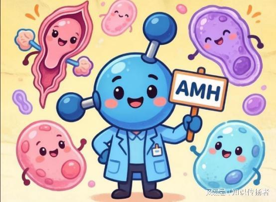  高龄备孕群体：科学应对卵巢储备不足的系统化进阶方案 健康养生