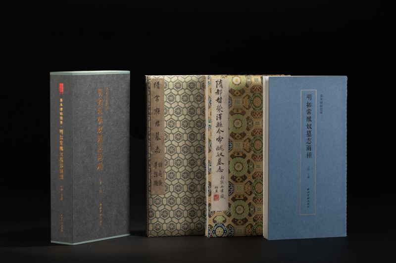 金石碑帖研究者进阶方案：从常丑奴墓志构建学术谱系