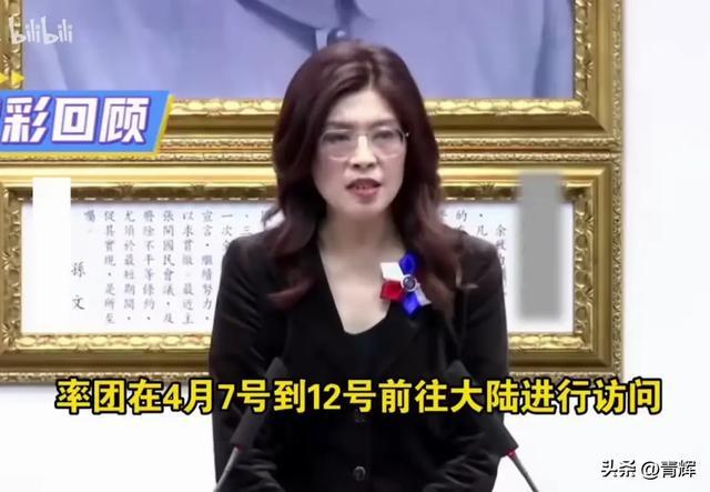 外部干预真相：台海局势的深度复盘报告