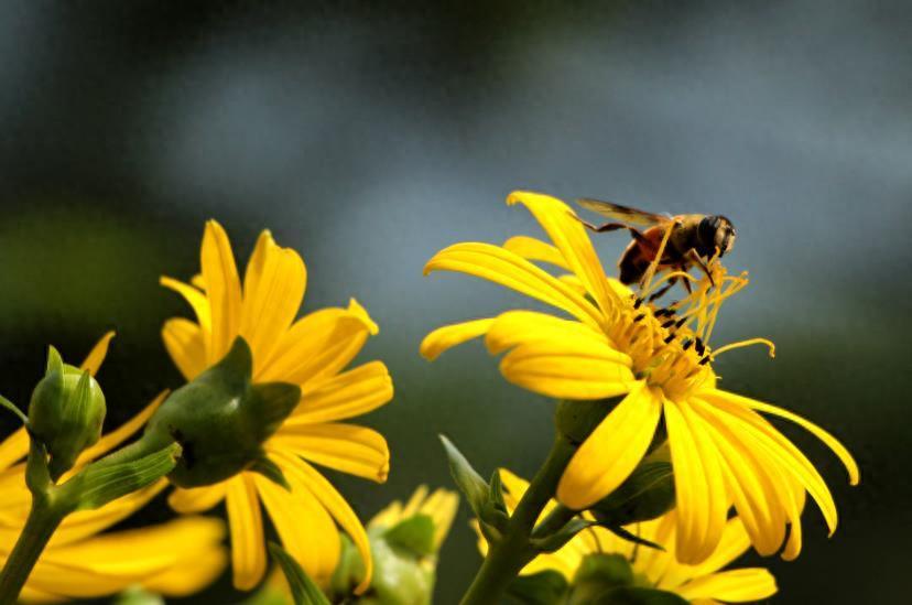 称呼即教育：一位父亲的称谓进化论与孩子社会化实践