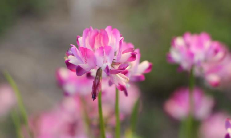 称呼即教育:一位父亲的称谓进化论与孩子社会化实践 教育招生