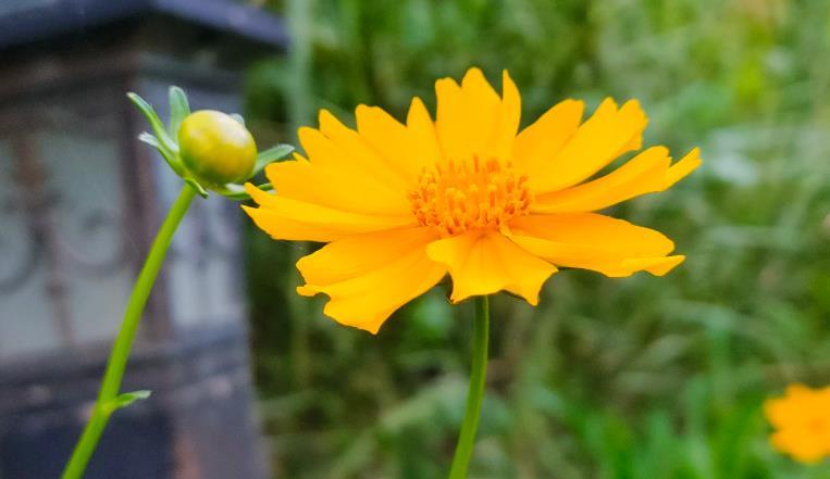 称呼即教育:一位父亲的称谓进化论与孩子社会化实践 教育招生