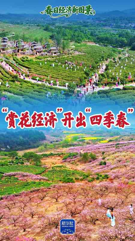  一朵花改变一个村庄：三位返乡青年的“花样共富路” 文化旅游