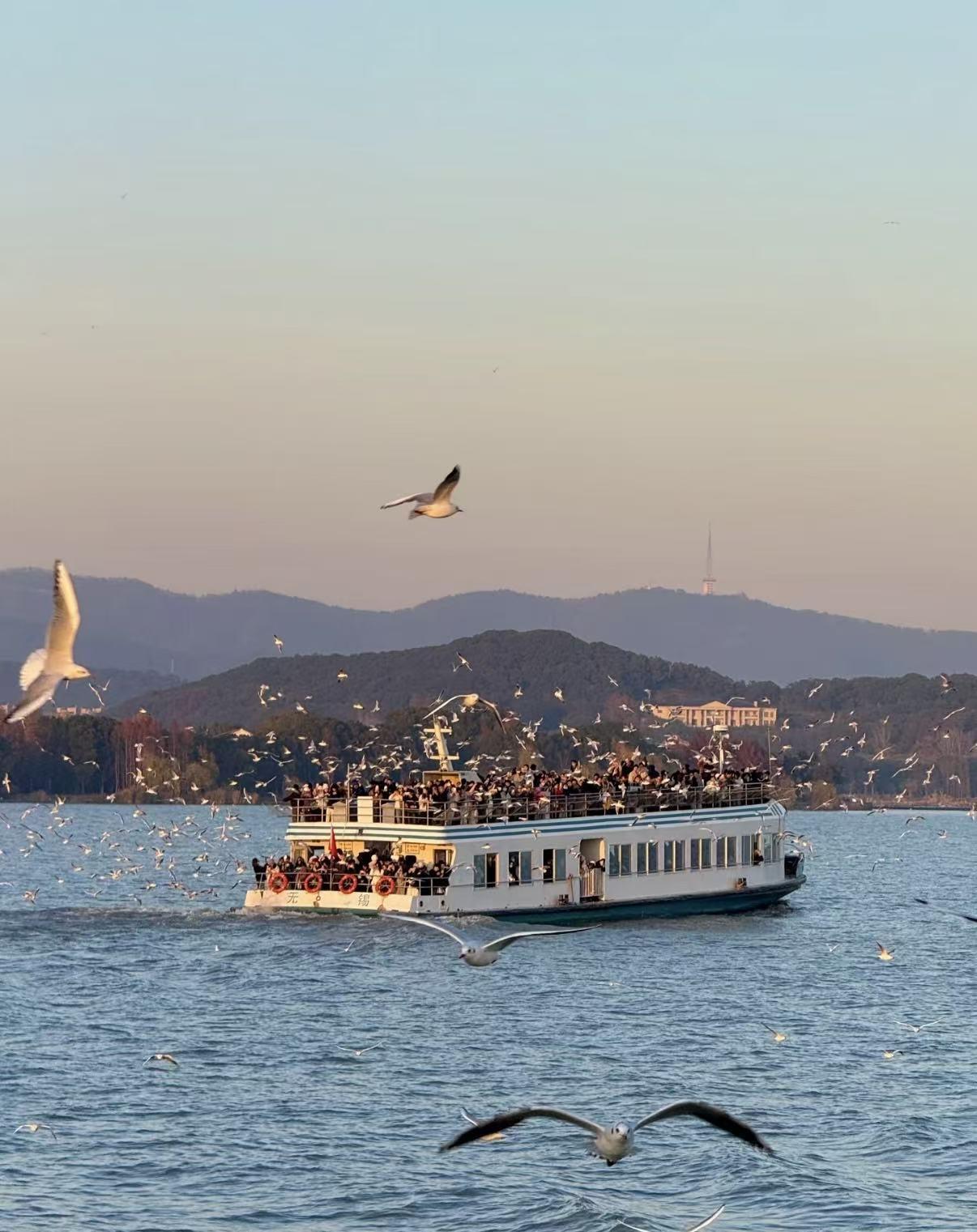 苏州无锡1小时交通圈实测报告：基于三次踩点验证的最优周边游方案