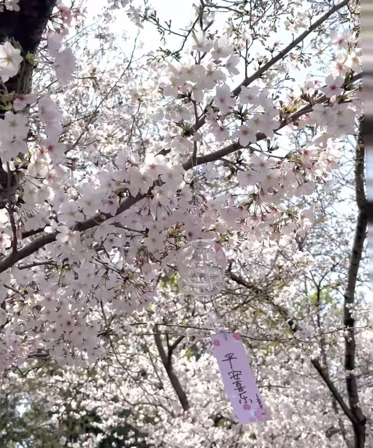  苏州无锡1小时交通圈实测报告：基于三次踩点验证的最优周边游方案 文化旅游