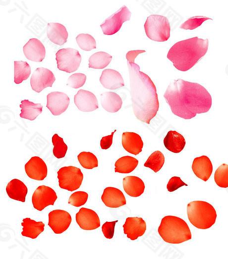  合并重组如何撬动券商巨头：国泰海通净利润翻倍的深层逻辑 股票财经