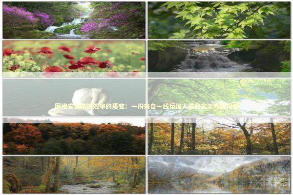 网络安全防护效率的质变：一份来自一线运维人员的实测观察报告 IT技术