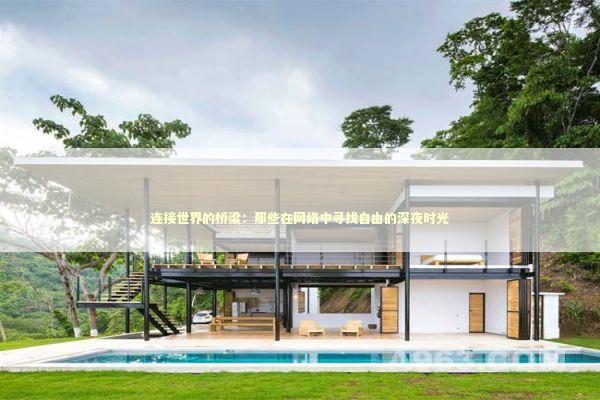 连接世界的桥梁：那些在网络中寻找自由的深夜时光