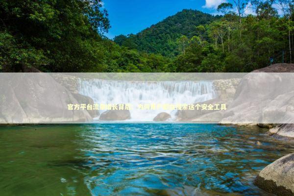 官方平台流量增长背后：为何用户都在搜索这个安全工具 IT技术