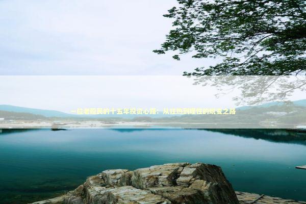 一位老股民的十五年投资心路：从狂热到理性的蜕变之路 股票财经