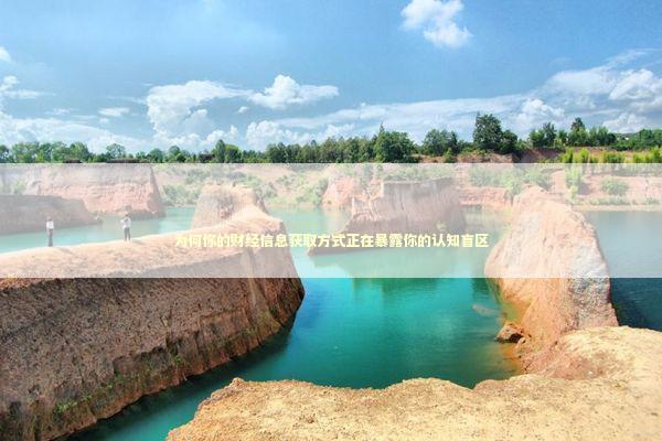 为何你的财经信息获取方式正在暴露你的认知盲区 情感心理