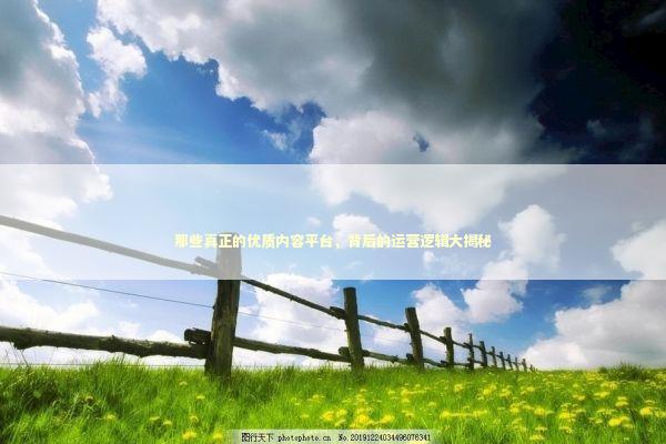 那些真正的优质内容平台，背后的运营逻辑大揭秘 IT技术