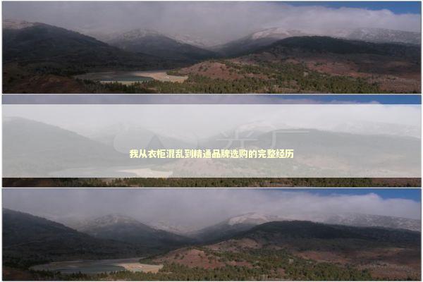 我从衣柜混乱到精通品牌选购的完整经历 时尚用品