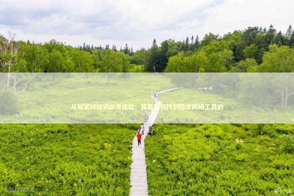 从频繁掉线到丝滑体验：我是如何找到稳定网络工具的 IT技术