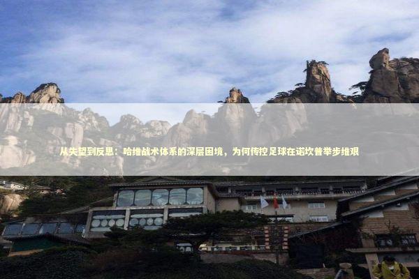 从失望到反思：哈维战术体系的深层困境，为何传控足球在诺坎普举步维艰 体育新闻