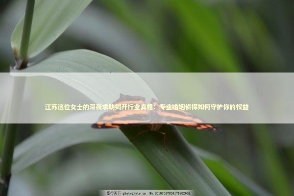 江苏这位女士的深夜求助揭开行业真相:专业婚姻侦探如何守护你的权益 江苏这位女士的深夜求助揭开行业真相:专业婚姻侦探如何守护你的权益 情感心理