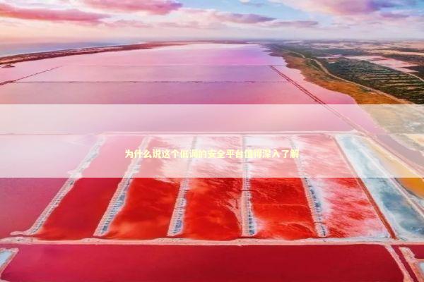 为什么说这个低调的安全平台值得深入了解 IT技术